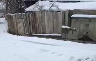 Tır tekerleği ile kayak keyfi