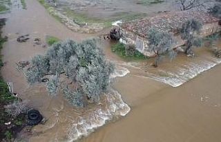 Tire’de yeraltı barajı taştı, tarlalar ve çiftlikler...