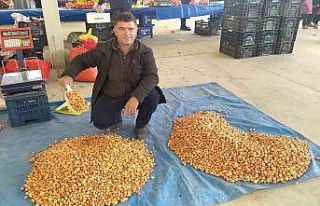 Tohumluk kuru soğanın kilogram fiyatını 5 TL’ye...