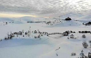 Tokat’ta buz tutan Üçoluk Göleti’nde doğal...