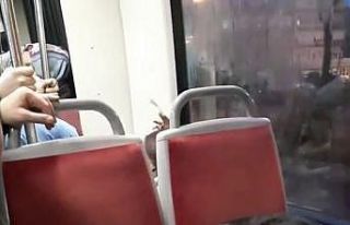 Tramvayın sevimli yolcusu uyuyarak İstanbul turu...