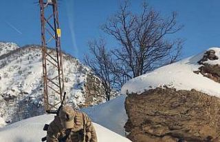 Tunceli’de yaban hayvanları için doğaya yem bırakıldı