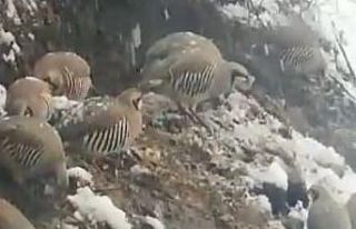 Tuncelili vatandaştan örnek davranış: Her gün...