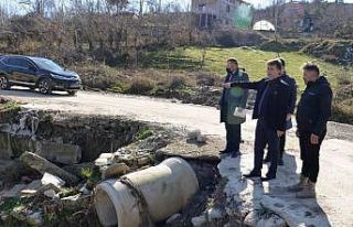 Türkeli yaza hazırlanıyor