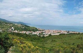 Türkiye’de 53 bin 214 Türkelili yaşıyor