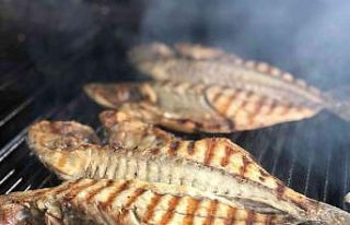 Ucuz balık Diyarbakır’a ulaştı, ciğerin tahtı...