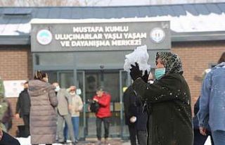 Ulu çınarlar karın tadını doyasıya çıkardı