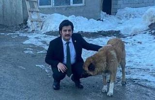 Vali Yardımcısı Kasımoğlu, şiddet gören iki...