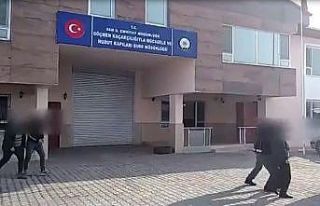 Van’da 7 organizatör tutuklandı