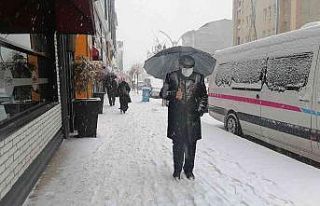 Van’da kar yağışı