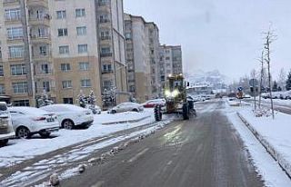 Van’da karla mücadele çalışması
