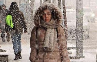 Van’da lapa lapa kar yağışı