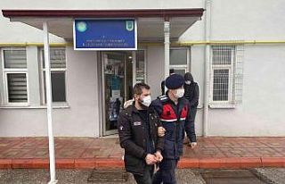 Vinçle konteyner çalarken jandarmaya yakalandı