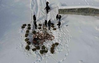 Yaban hayvanları için doğaya 1 ton yem bırakıldı