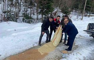 Yaban hayvanları için doğaya yem bırakıldı