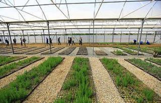 Yağmur hasadıyla yılda 300 ton su tasarrufu