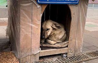 Yağmurdan en çok onlar etkileniyor