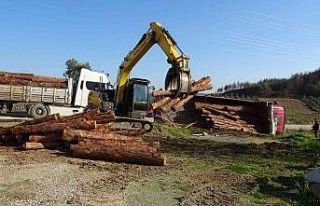 Yangın bölgesinde kesilen ağaçları taşıyan...