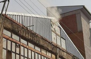 Yangına taşlarla müdahale ettiler, 30 tavuk telef...