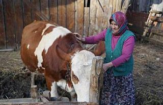 Yangınzede kadın: “Yangında başıma tülbent...