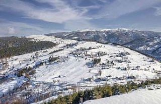 Yanık yaylası doğal güzelliği ile dikkat çekiyor