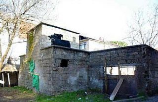 Yaramaz tosun yine durmadı