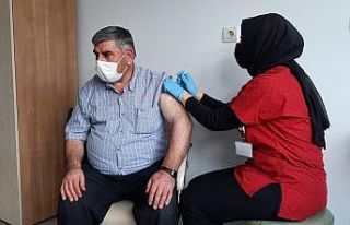 Yerli aşıya Tokat’ta yoğun ilgi