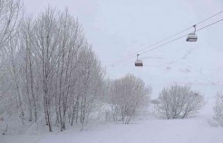 Yıldız Dağı’nda kar kalınlığı 1,5 metre...