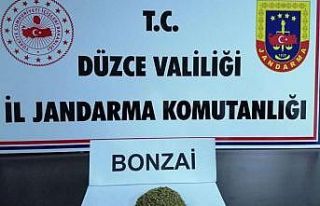 Yol kenarına attığı paketten uyuşturucu çıktı