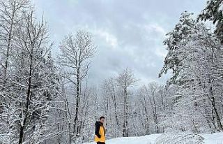 Yüksek kesimlere gece boyu kar yağdı, kartpostallık...