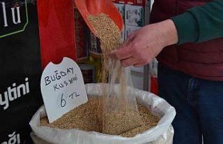 Zamlardan kuşlar da nasibini aldı