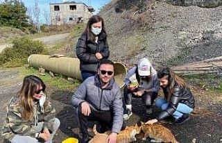 Zonguldak Barosu avukatları sokak hayvanlarını...