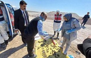 16 yıl önce kayıp ihbarı yapılan kadının parçalanmış...