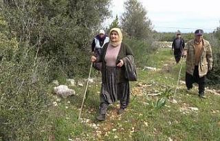 4 gündür kayıp olan 3 çocuk annesi kadın zeytinlikte...