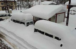 500 rakımlı köyde araçlar kar altında kaldı