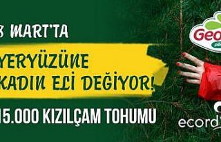 8 Mart’ta yeryüzüne kadın eli değiyor