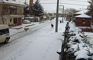 8 yaşındaki çocuğa köpek saldırısı kamerada
