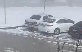 Aç kalan tilki hastane bahçesine girdi