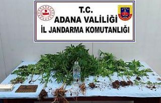 Adana’da uyuşturucu operasyonu