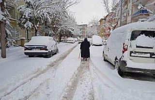 Afyonkarahisar’da karla mücadele