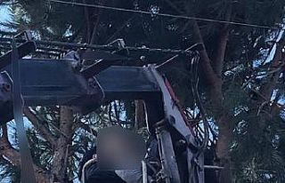 Ağaç budarken elektrik akımına kapılan kişi...