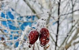 Ağrı’da ilkbaharda da soğuklar etkisini sürdürüyor