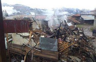 Ahşap evler cayır cayır yandı, alevler karanlığı...