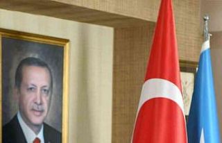 AK Parti İl Başkanı Başaran’dan zeytinlik açıklaması