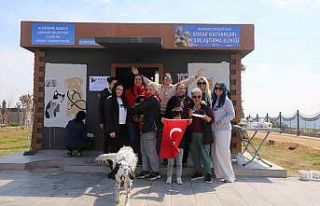Akdeniz Belediyesi Sokak Hayvanları Kısırlaştırma...