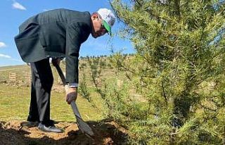 Alaşehir’de 500 adet fidan dikildi