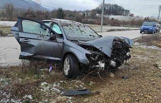Alkollü sürücüsü direğe çarptı: 2 yaralı