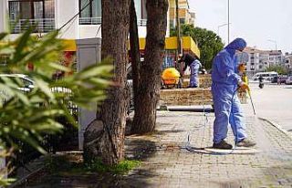 Altıeylül bahara hazırlanıyor