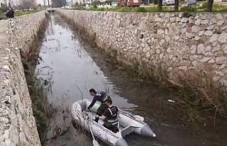 Antalya’da kanala düşen köpek, ekipleri peşine...