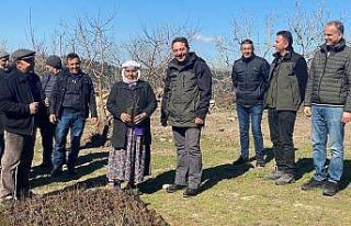 Antep fıstıkları ormanla buluştu